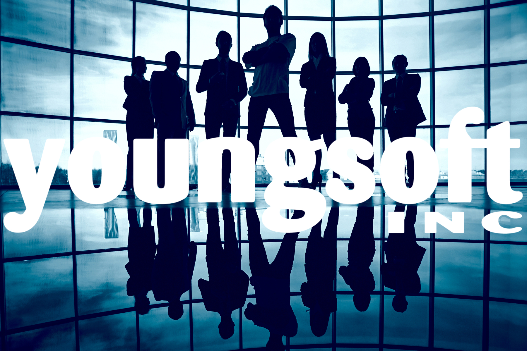 about The visionary IT solution provider